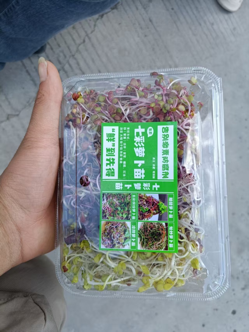 多彩萝卜苗七彩萝卜芽苗菜全国发货价格可谈欢迎联系