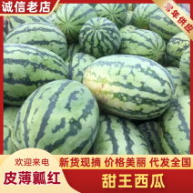 【甜王5号】花长瓜，甜度13°，新鲜开园，货发全国！