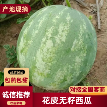 【花皮无籽】头茬翠宝，9斤打底产地直供货发全国！