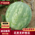 【花皮无籽】头茬翠宝，9斤打底产地直供货发全国！
