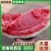【龙卷风】多种规格，质优价廉，货源充足，产地直供！