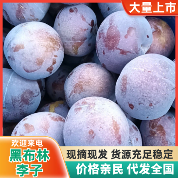 【源头直采】黑布林李子新鲜采摘严格筛选品质保障