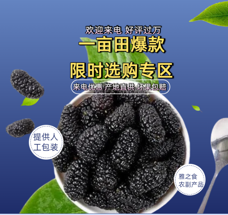 【荐】桑葚，现摘现发全程冷链，凉山州德昌县桑葚一手货源