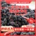 【荐】桑葚冻桑葚现发全程冷链凉山州德昌县桑葚一手货源硬桑