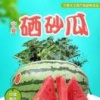 马存贵的一亩田店铺