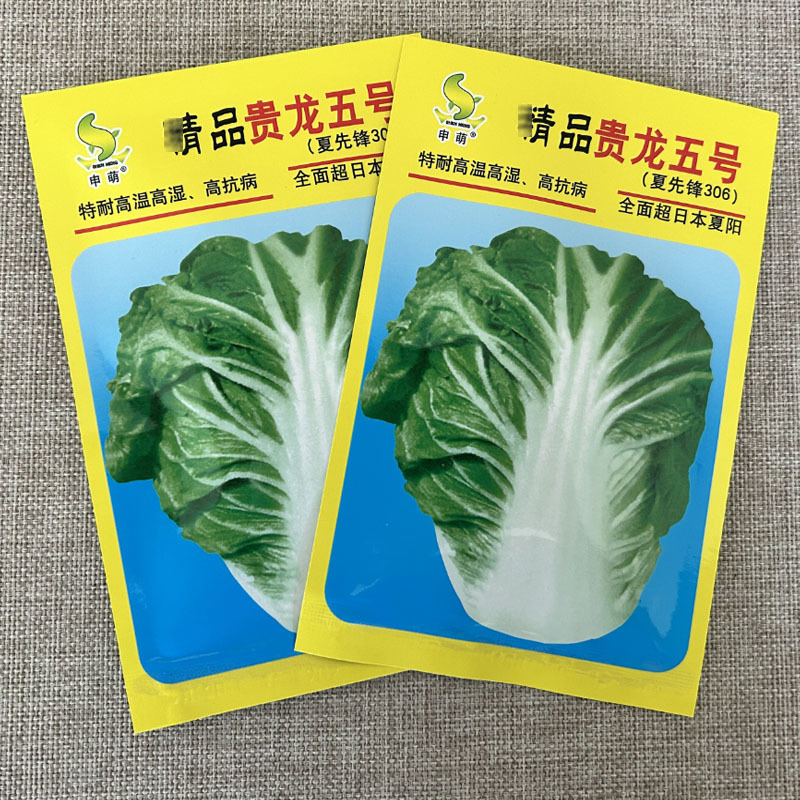夏秋季白菜种子贵龙五号超夏阳耐热耐湿抗病菜地基地