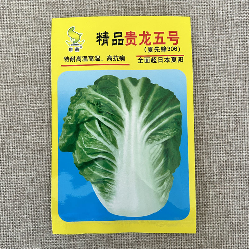 夏秋季白菜种子贵龙五号超夏阳耐热耐湿抗病菜地基地
