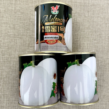 白皮甜瓜种子雪密1号杂交肉质脆甜不裂果全国基地品种