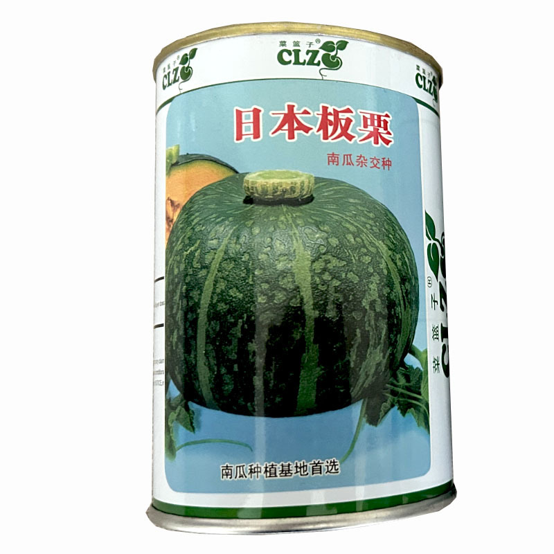 日本板栗南瓜种子节瓜多肉厚粉干面香甜蜜本产量高菜农种