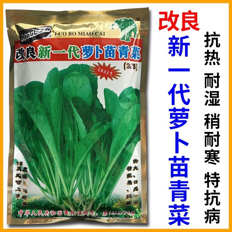 专吃萝卜苗青菜种籽萝卜籽阳台盆栽青菜蔬菜种子萝卜苗种子