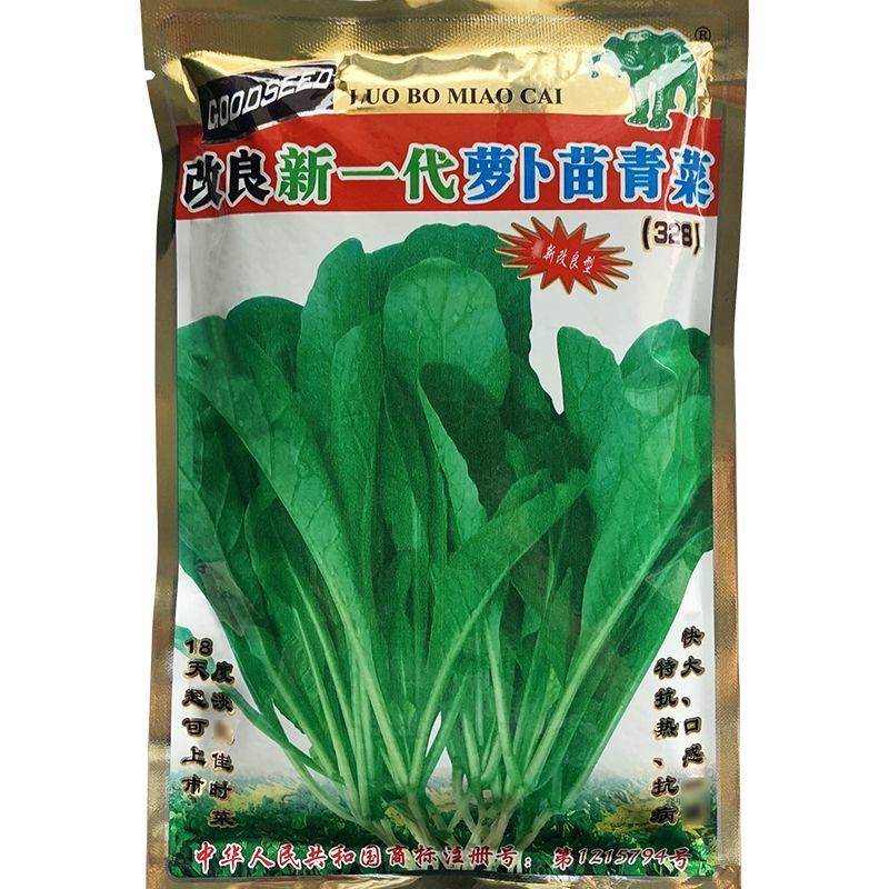 专吃萝卜苗青菜种籽萝卜籽阳台盆栽青菜蔬菜种子萝卜苗种子