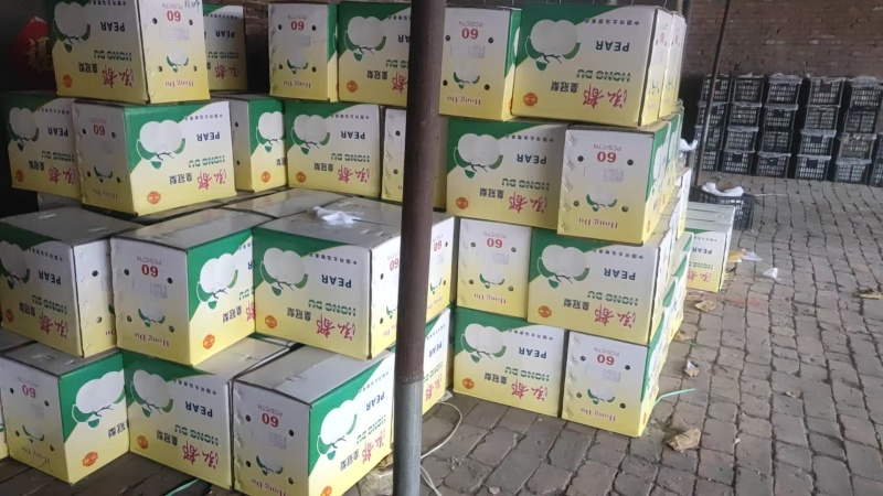 皇冠梨光果皇冠梨承接商超电商供货代发全国