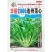 丰裕2000连州菜心种子广东多芽甜菜心种子白菜苔种子
