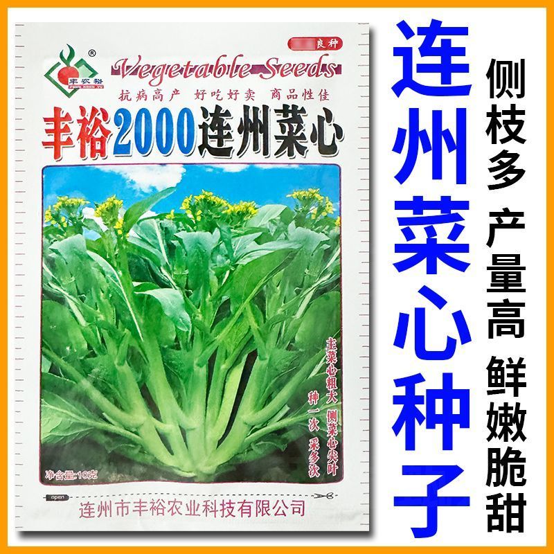 丰裕2000连州菜心种子广东多芽甜菜心种子白菜苔种子