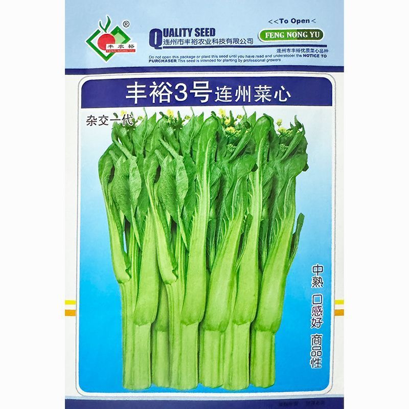 丰裕3号连州菜心种子多东多丫甜菜心种子甜脆白菜苔种子