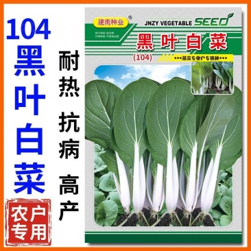 104黑叶白菜种子耐热耐雨水黑叶白菜四季小白菜种子