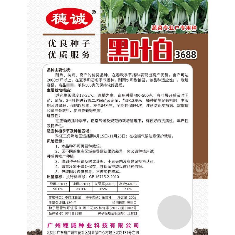 黑叶白菜种子耐热耐湿耐抽苔高产四季小白菜种子