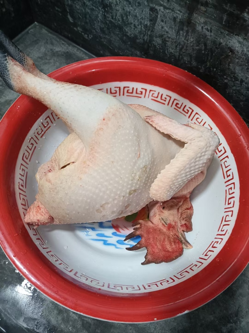 活鸡，生鸡都有，自家养殖吃谷子原生态鸡，自养鸡