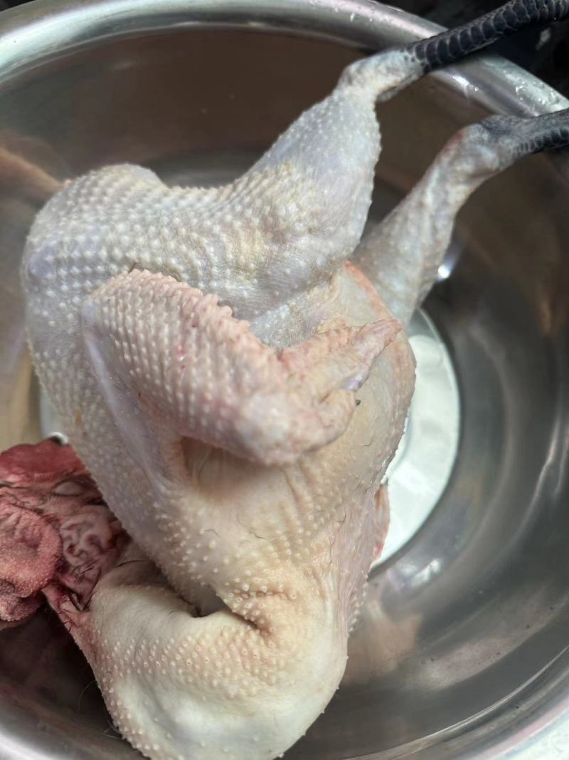活鸡，生鸡都有，自家养殖吃谷子原生态鸡，自养鸡