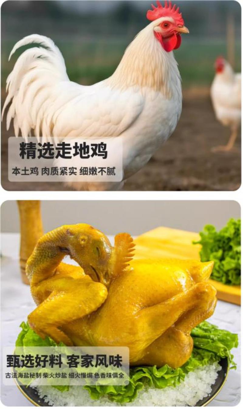 正宗广东盐焗手撕鸡骨脆皮熟食开袋即食预制菜客家特产
