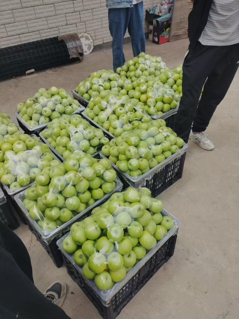 云南青苹果，青香蕉清脆香甜大量上市品质保障