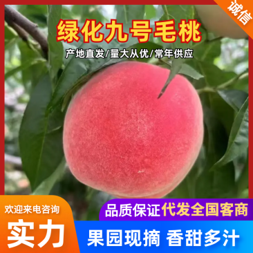 衡水绿化九号毛桃承接加工电商代发社区团购直播带货进出口