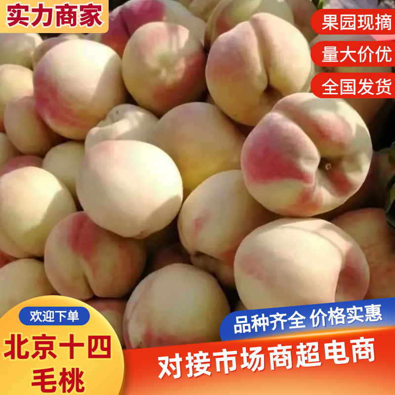 大量供应北京十四号罐头用涛货源充足适合各种加工厂现场挑货