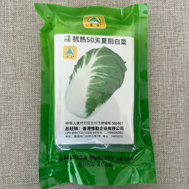 香港惟勤抗热50天夏阳白菜种子结球紧实55天上市基地
