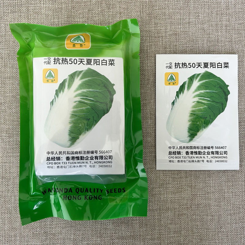 香港惟勤抗热50天夏阳白菜种子结球紧实55天上市基地