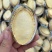 鲍鱼干带壳鲍鱼可装礼盒量大从优品质保证价格优惠