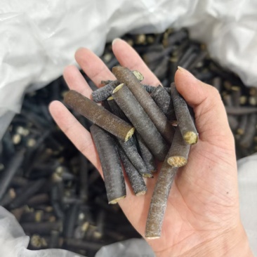 海笋冰笋品质保证产地直发价格优惠实力商家量大从优
