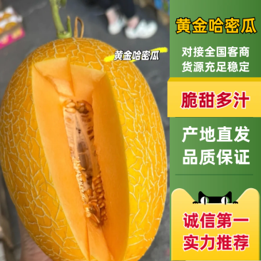 甘肃黄金蜜民勤甜瓜哈密瓜皮薄多汁量大从优