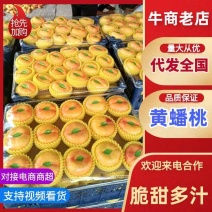 河北蟠桃颜色靓丽卖相好无擦伤疤痕提供网袋纸箱按需分大小