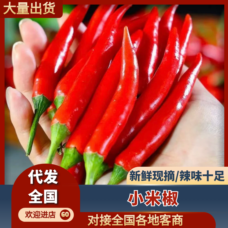 《精品》小米椒供应市场电商超市可视频看货诚信经营