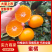 湖北蜜橘柑桔产地直发皮薄味甜对接全国市场社区等