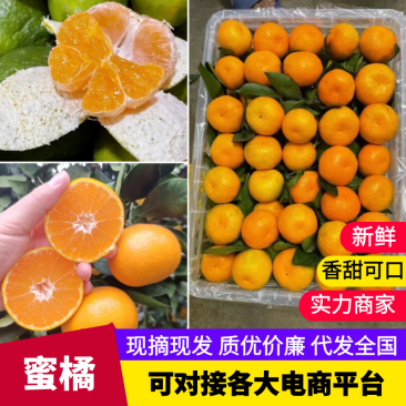 【实力供货】蜜橘湖北蜜橘一手货源坏果包赔量大优惠