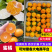 【实力供货】蜜橘湖北蜜橘一手货源坏果包赔量大优惠