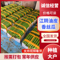 无锡江阴精品油皮香丝瓜，丝瓜，油皮丝瓜，油皮丝瓜