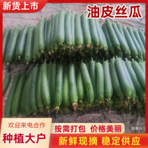 无锡江阴精品油皮香丝瓜，油皮丝瓜，油皮香丝瓜，