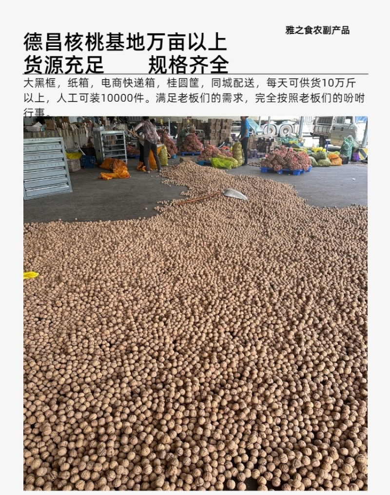 批发四川凉山新鲜精品青皮核桃现货现发货源充足全国发货零售