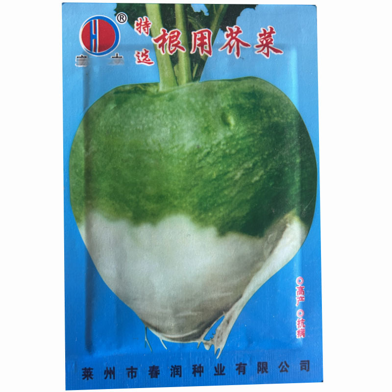 根用芥菜种子疙瘩菜二道眉夏秋种植大头菜大田基地