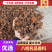 广西无硫八角产瓣子，源头厂家，品质保证，价格实惠。