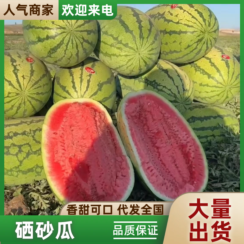 宁夏硒砂瓜石头瓜清甜可口对接全国量大从优价格美丽欢迎询价