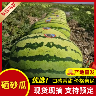 宁夏硒砂瓜石头瓜量大从优清甜可口价格美丽质量一流欢迎询价