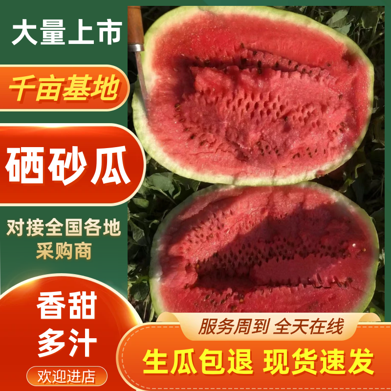 宁夏硒砂瓜石头瓜清甜可口价格美丽质量一流欢迎询价热卖中