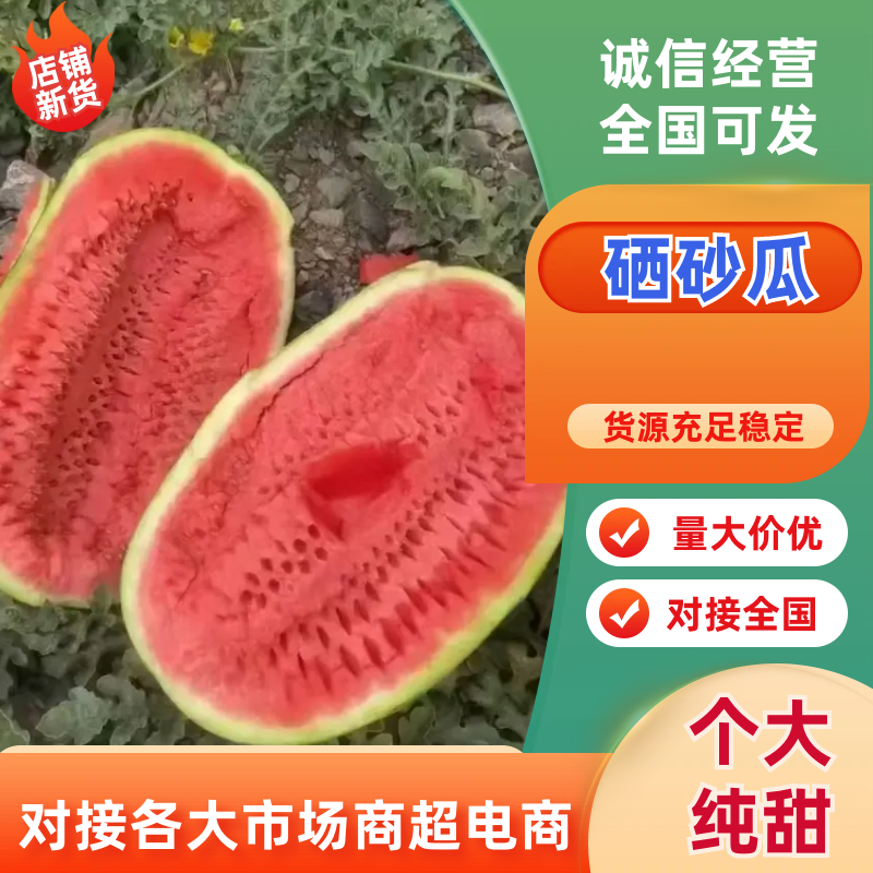 宁夏一手货源硒砂瓜清甜可口品相好对接全国市场量大从优