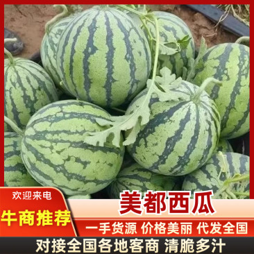 甘肃二茬美都西瓜纯甜无渣皮薄大红瓤原产地发货量大价优