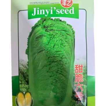 甜脆六号白菜种子抗干烧心黄心大白菜种子20克基地高产