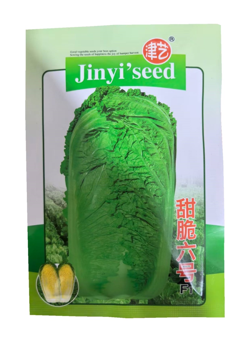 甜脆六号白菜种子抗干烧心黄心大白菜种子20克基地高产