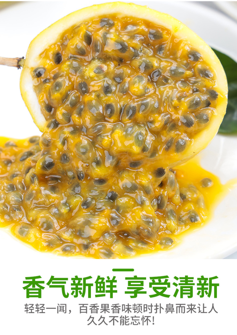 一件代发广西钦蜜9号黄金百香果对接电商平台直播当季新鲜